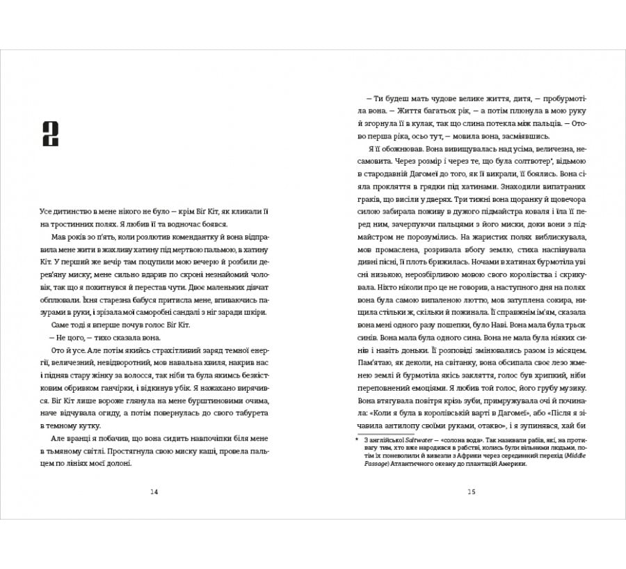 Вашингтон Блек - Фото 6